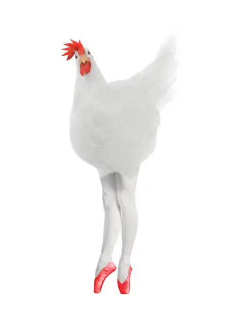 Photo of conceptual hen