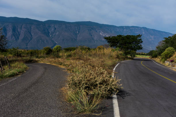istock Bifurcation of the road. 923586118