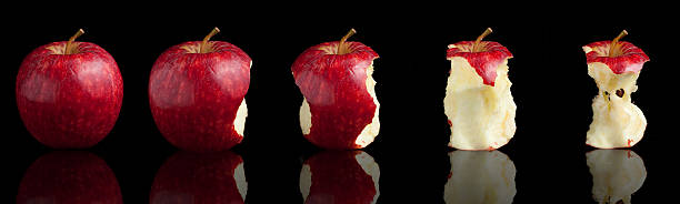 Life cycle of an apple (XXXLarge) From the beggining to the end of an apple being eaten. Black background with reflection. apple with bite out stock pictures, royalty-free photos & images