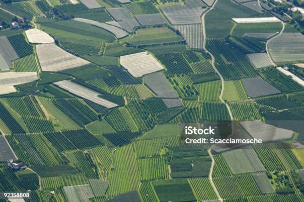 Cultivado Campos - Fotografias de stock e mais imagens de Agricultura - Agricultura, Ao Ar Livre, Campo agrícola