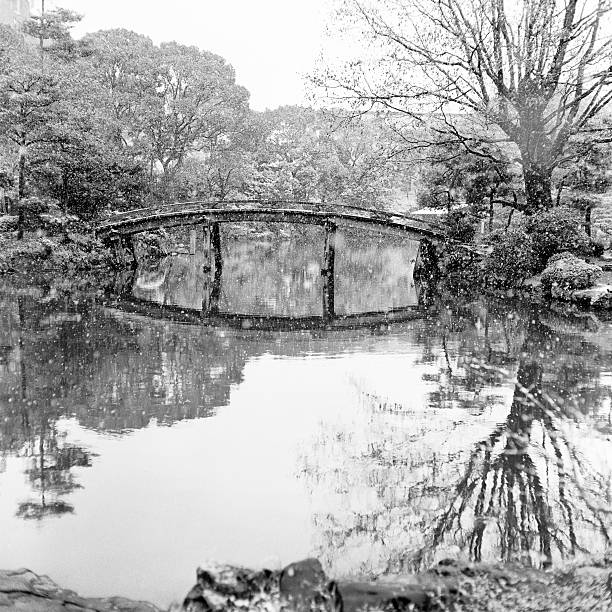 Ogród japoński i Most Śnieżyca (monochromatyczny). – zdjęcie