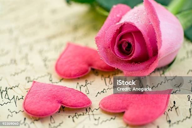 Pink Rose Stock Photo - Download Image Now - Color Image, Correspondence, Flower