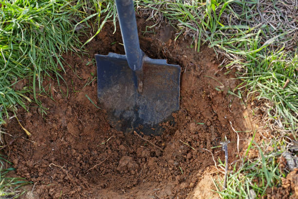 istock Shovel digs a hole for tree planting. 923592662