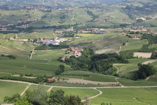 istock Typical Landscape in Piedmont with Vineyards. Italy 923592676