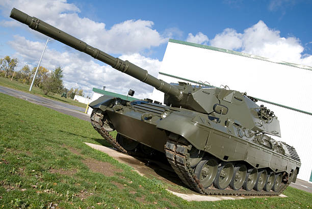 군용동물에는 탱크 - leopard tank 뉴스 사진 이미지