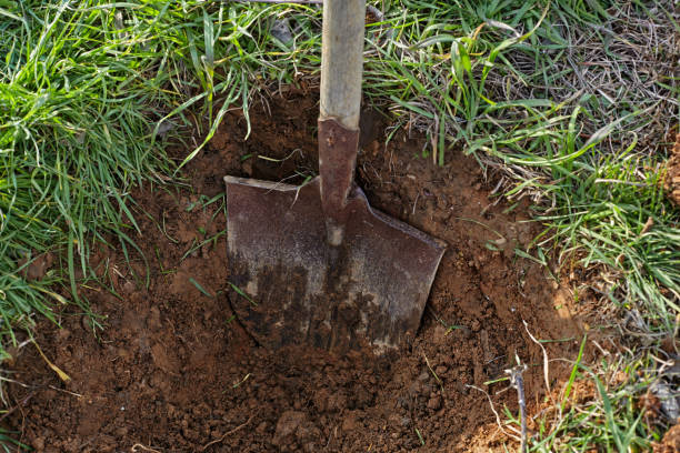 istock Shovel digs a hole for tree planting. 923595138