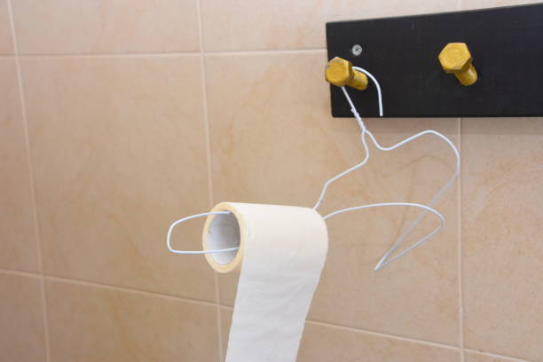 istock An improvised toilet paper fixture 923596546