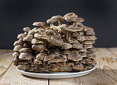 shiitake-pilz.jpg?b=1&s=170x170&k=20&c=5xGLZws97MRI16b0uQQ5IKsq5DbbHCa_dNTFMLN15mA=