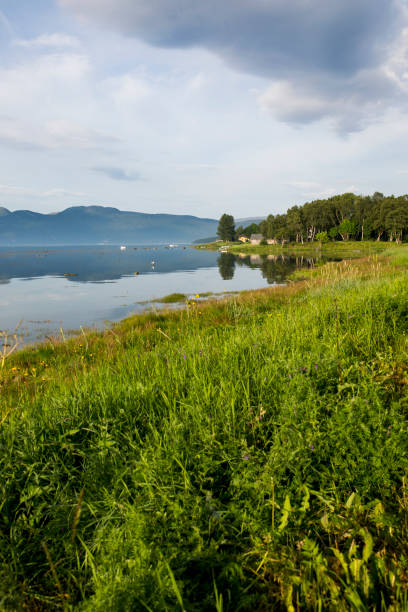 istock Meadow at the sea 923605082