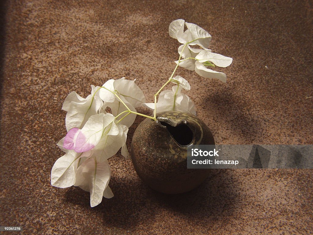 ブーゲンビリアスイート日本の花瓶 - カラー画像のロイヤリティフリーストックフォト