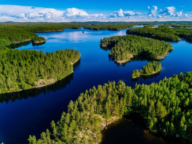 vista aérea de lagos azules y verdes bosques en un día soleado de verano en finlandia. - pine wood forest river fotografías e imágenes de stock