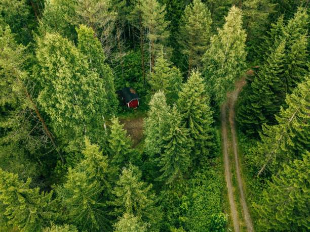 vista aérea de la carretera por el bosque spruce. cabina roja en el bosque en finlandia - shed cottage hut barn fotografías e imágenes de stock