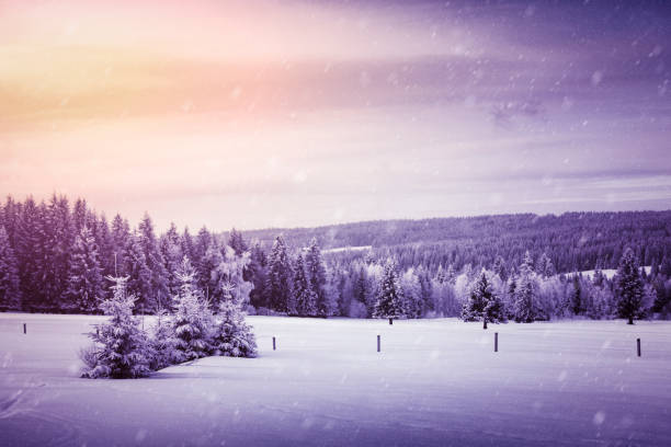 view on snowy meadow with footprints in the Giant Mountains at sunset hour