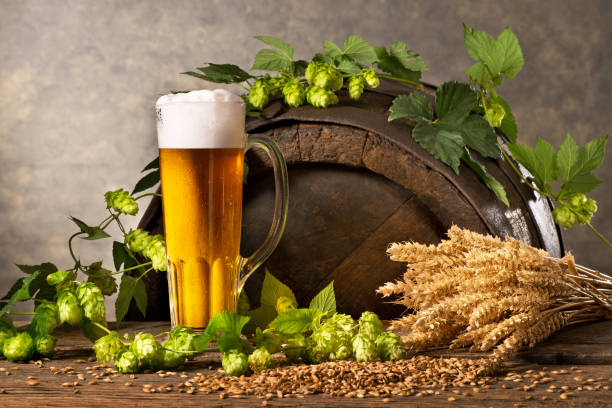 istock Still Life with Beer Glass, Hop Cones and Wheat 923626400