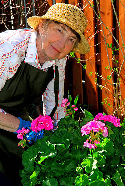 istock Senior woman gardening 92362823