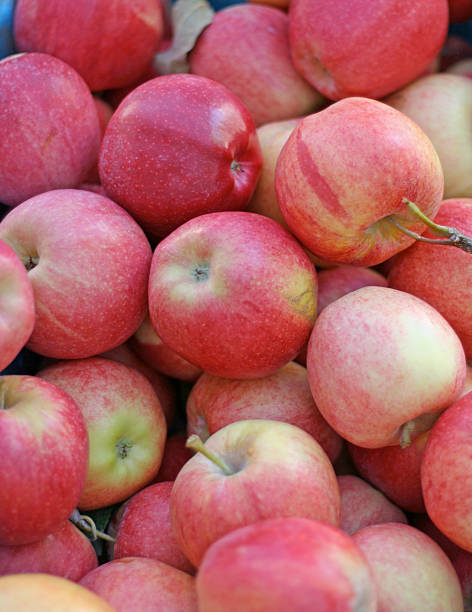 istock Gala Apples at the Farmer's Market 92362917