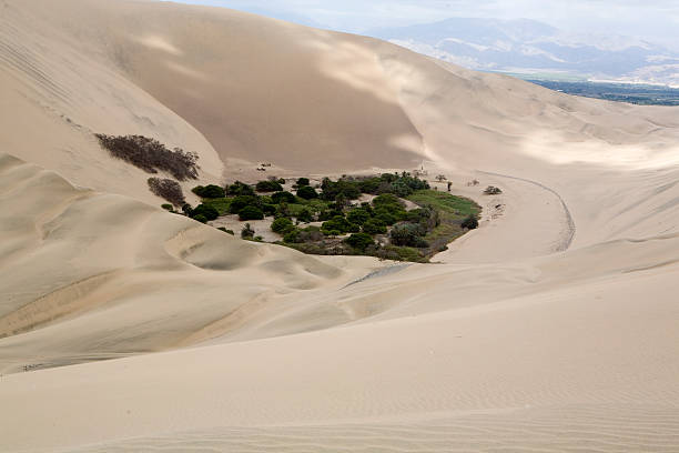 The Huacancina Oasis and Desert in Southern Peru