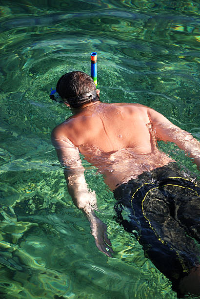 Man Snorkelling stock photo