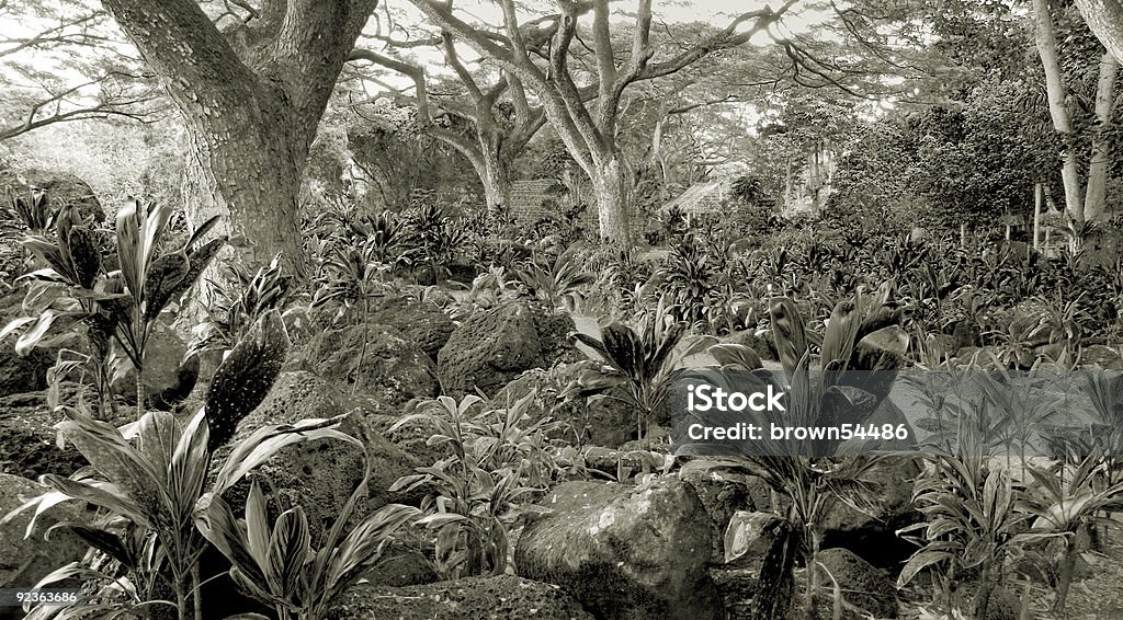 Floresta Tropical e Kauhale--Traditional do vida sit - Royalty-free Horta Foto de stock