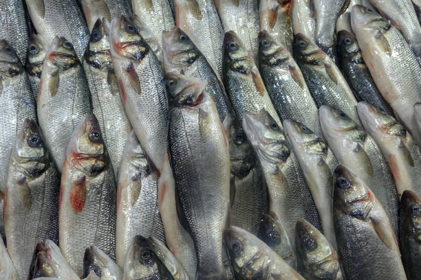 istock Fresh fishs in the market 923638918