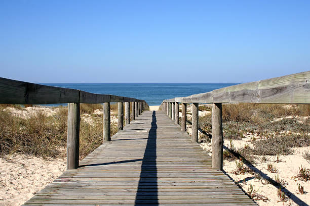 Fahrt zum Strand – Foto