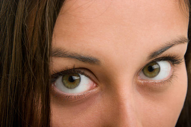 istock Beautiful Brown Eyes Looking at You 92364913