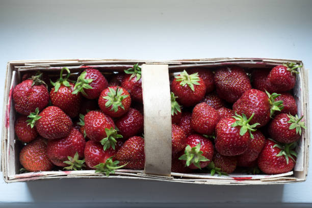 Organic Strawberries in Wooden Basket stock photo