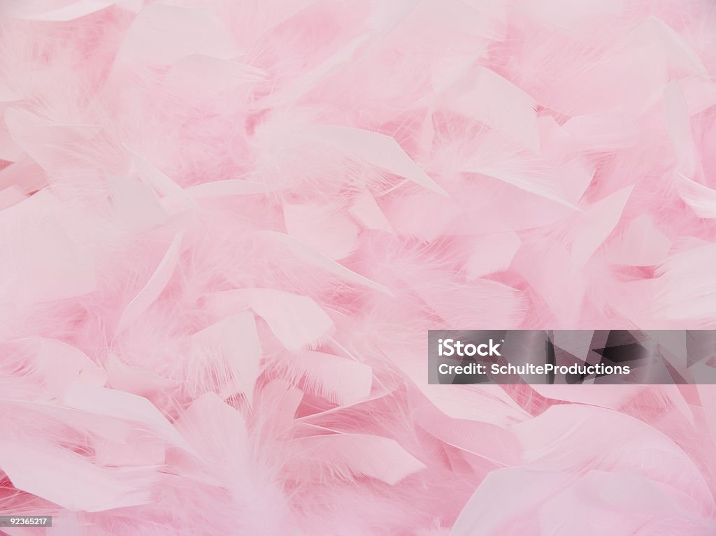 Rosa Boa2 penas - Royalty-free Plano de Fundo Foto de stock