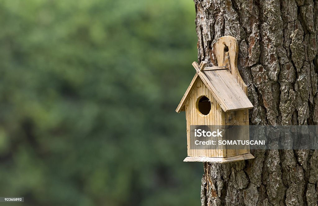 Vogel-Haus - Lizenzfrei Wohngebäude-Innenansicht Stock-Foto