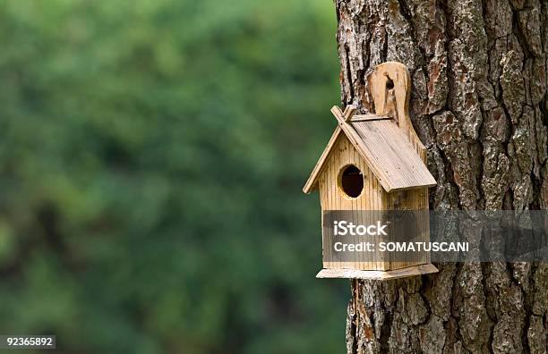 Vogelhaus Stockfoto und mehr Bilder von Wohngebäude-Innenansicht - Wohngebäude-Innenansicht, Vogelhäuschen, Baum