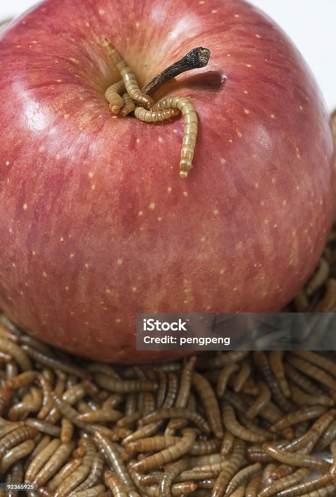 Gusano y manzana - Foto de stock de Alimento libre de derechos