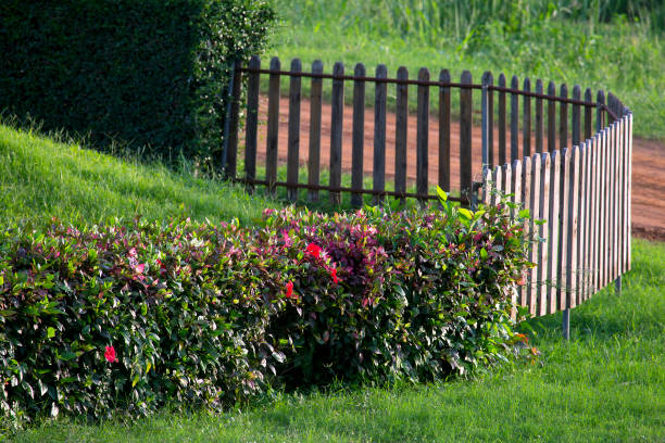 istock curve fence in the grass garden 923663954