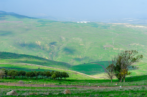 Landscape of the Tabor Stream, in the lower Galilee, Northern Israel