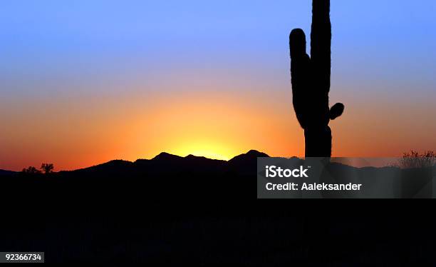 サワロ - アリゾナ州のストックフォトや画像を多数ご用意 - アリゾナ州, 日の出, ツーソン