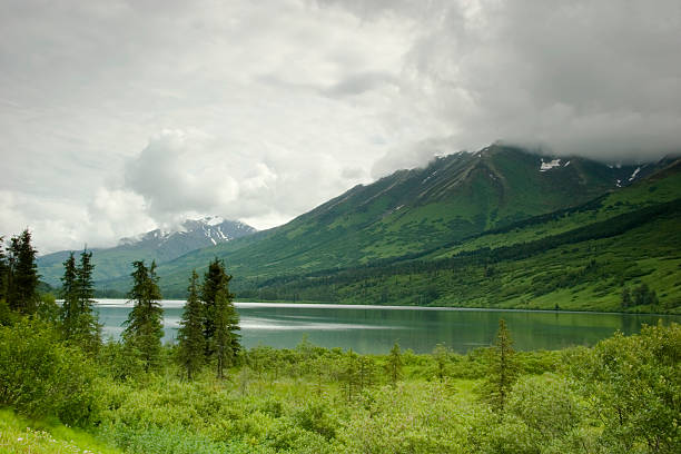 istock Calm lake in summer 92366843
