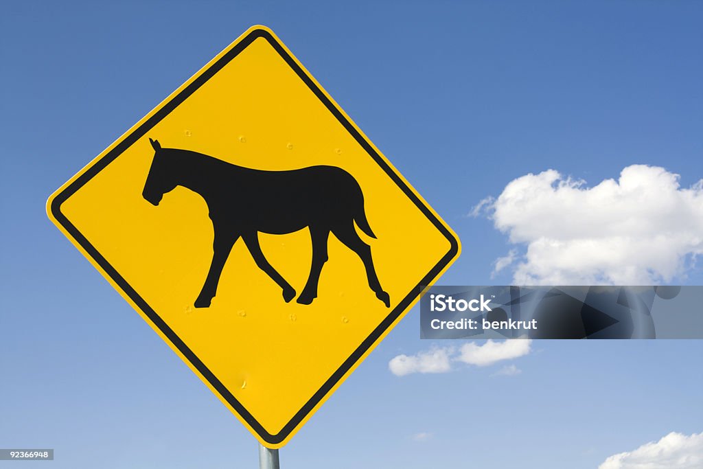 Be careful - horses on the road  Horse Stock Photo