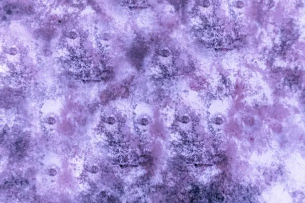 Photo of Spooky horror Halloween faces on mottled wall