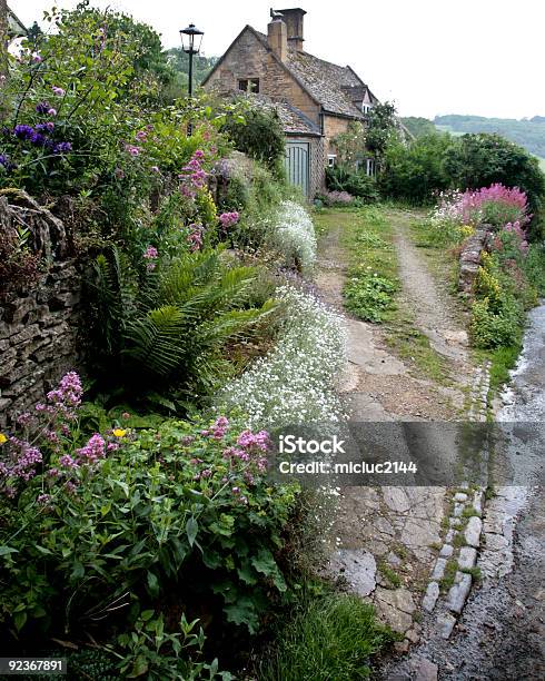 Cottage On The Lane Stock Photo - Download Image Now - Bush, Color Image, Cottage