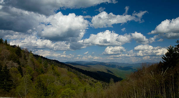 frühling landschaft, great smoky die berge von nat park, tn - south highlands stock-fotos und bilder