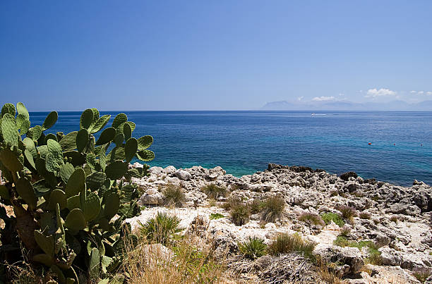 istock Mediterranean sea and Opuntia 92368212