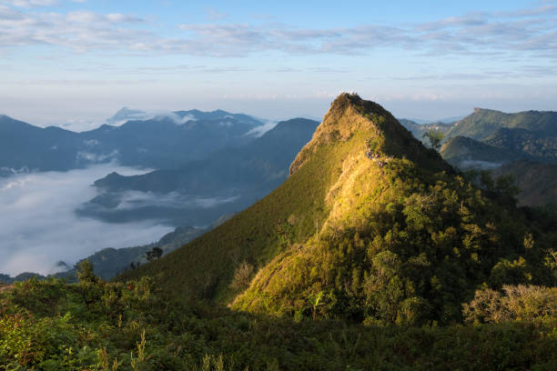 istock Phu Chi Dao or Phu Chee Dao cliff, Chiang Rai, Thailand 923682406