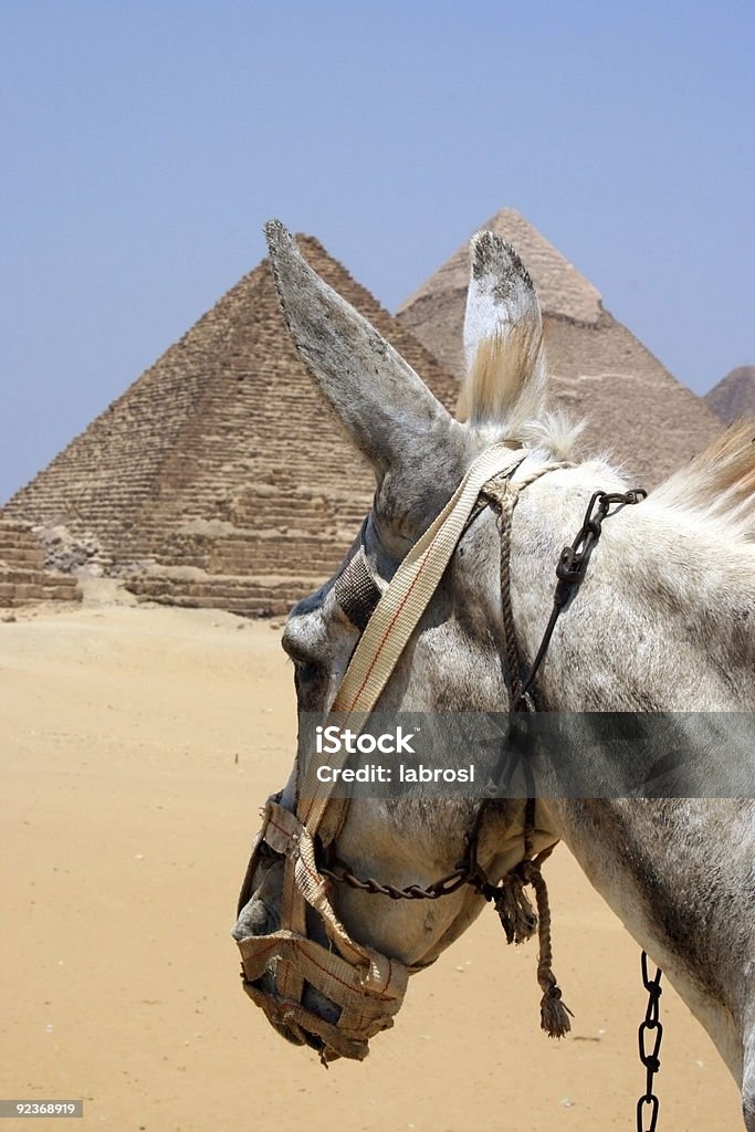 pyramides, Baudet - Photo de Antique libre de droits