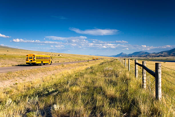 autobus szkolny na drodze - school bus education transportation school zdjęcia i obrazy z banku zdjęć