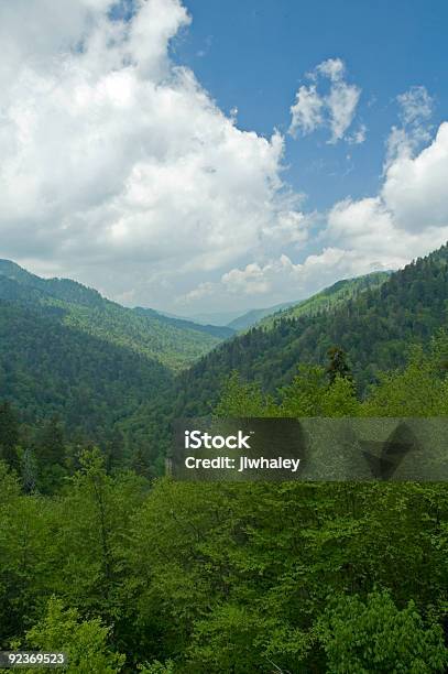 Wiosna Obraz Great Smoky Mountains Np - zdjęcia stockowe i więcej obrazów Ameryka Północna - Ameryka Północna, Appalachy, Bez ludzi