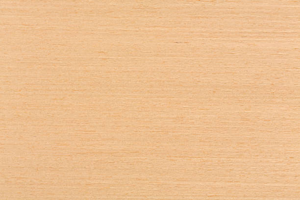 istock Texture of oak veneer, natural background 923703582
