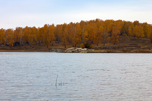 Autumn. Lakeside