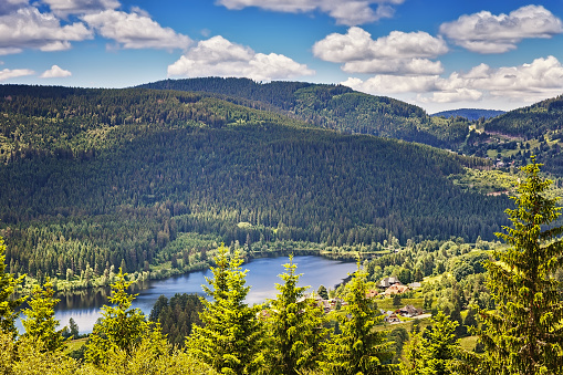 Panoramic view lake Schluchsee. Black Forest. Baden-wuerttemberg region. Germany