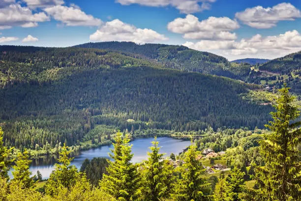 Photo of Panoramic view lake Schluchsee. Black Forest. Baden-wuerttemberg region. Germany