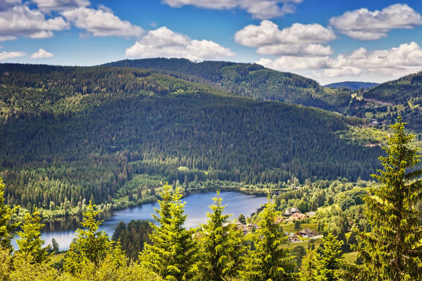 панорамный вид на озеро шлюче. шварцвальд. баден-вюртембергский регион. германия - black forest forest sky blue стоковые фото и изображения