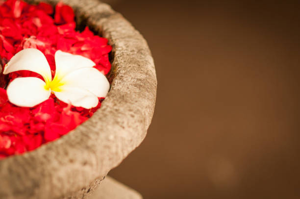 istock White plumeria with petals 923718972